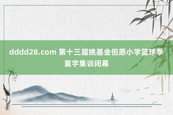 dddd28.com 第十三届姚基金但愿小学篮球季寰宇集训闭幕
