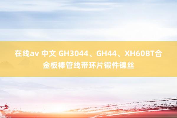 在线av 中文 GH3044、GH44、XH60BT合金板棒管线带环片锻件镍丝