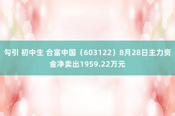 勾引 初中生 合富中国（603122）8月28日主力资金净卖出1959.22万元