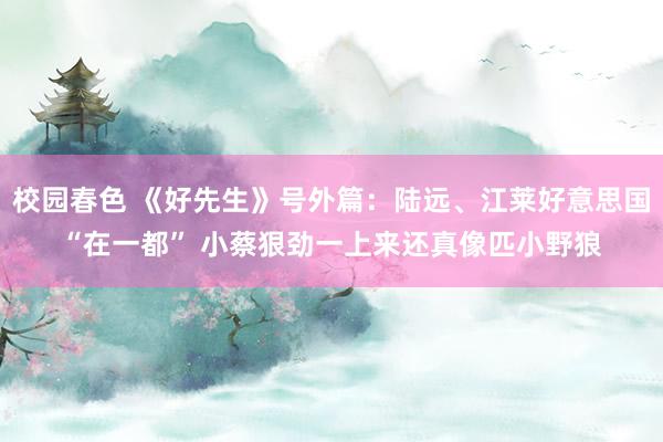 校园春色 《好先生》号外篇：陆远、江莱好意思国“在一都” 小蔡狠劲一上来还真像匹小野狼