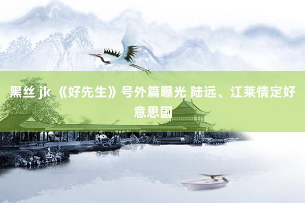 黑丝 jk 《好先生》号外篇曝光 陆远、江莱情定好意思国