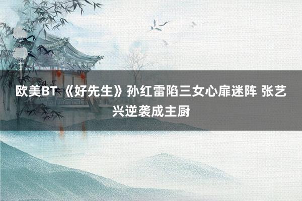 欧美BT 《好先生》孙红雷陷三女心扉迷阵 张艺兴逆袭成主厨