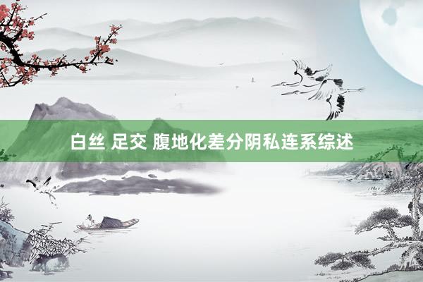 白丝 足交 腹地化差分阴私连系综述
