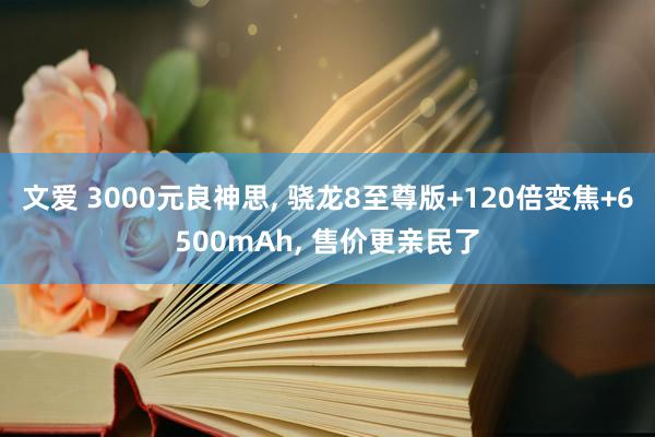 文爱 3000元良神思， 骁龙8至尊版+120倍变焦+6500mAh， 售价更亲民了