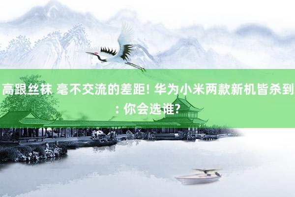 高跟丝袜 毫不交流的差距! 华为小米两款新机皆杀到: 你会选谁?