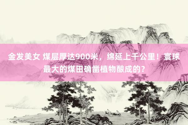 金发美女 煤层厚达900米，绵延上千公里！寰球最大的煤田确凿植物酿成的？
