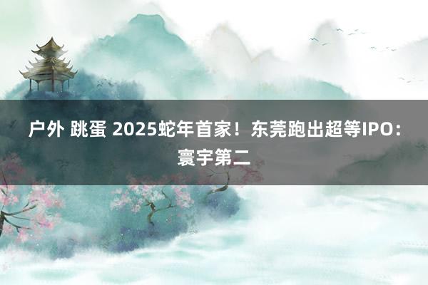 户外 跳蛋 2025蛇年首家！东莞跑出超等IPO：寰宇第二